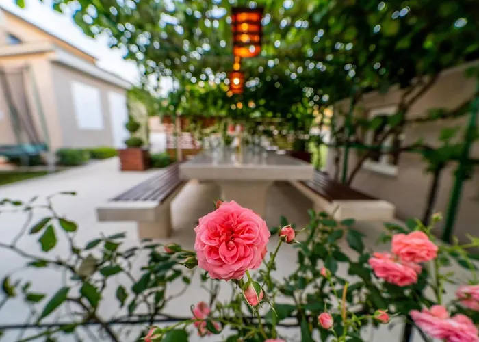 Apartment Suncica Pula